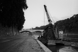 https://www.insideimages.eu/files/gimgs/th-200_idbx_river-5.jpg